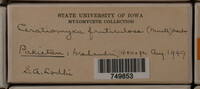 Image Associated With the Occurence